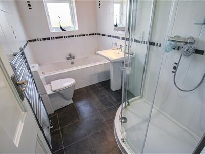 Picture 14